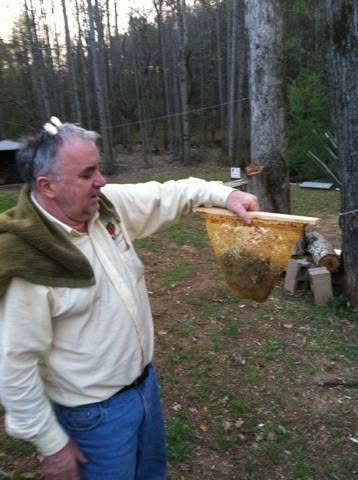Grandfather holding a frame of fresh honeycomb