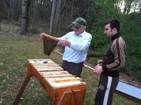 Inspecting a frame of bees and honeycomb together